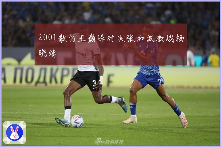 2001散打王巅峰对决张加泼激战杨晓靖