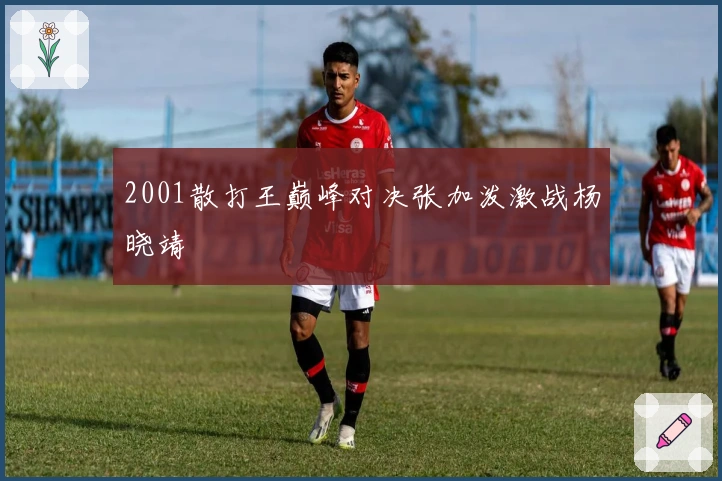 2001散打王巅峰对决张加泼激战杨晓靖